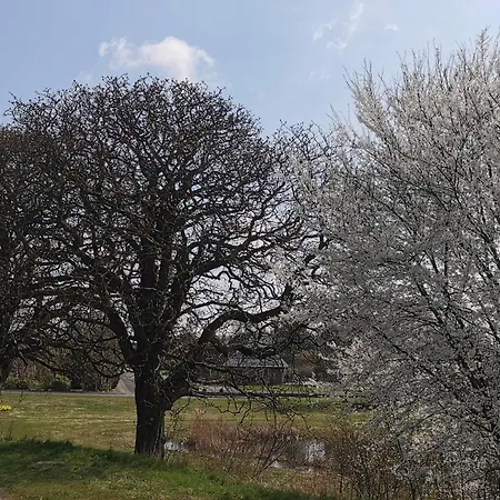 5 Person In Prázdninový dům *