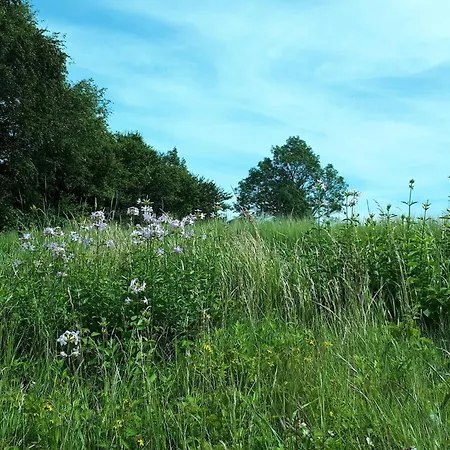 5 Person In Prázdninový dům Holeby